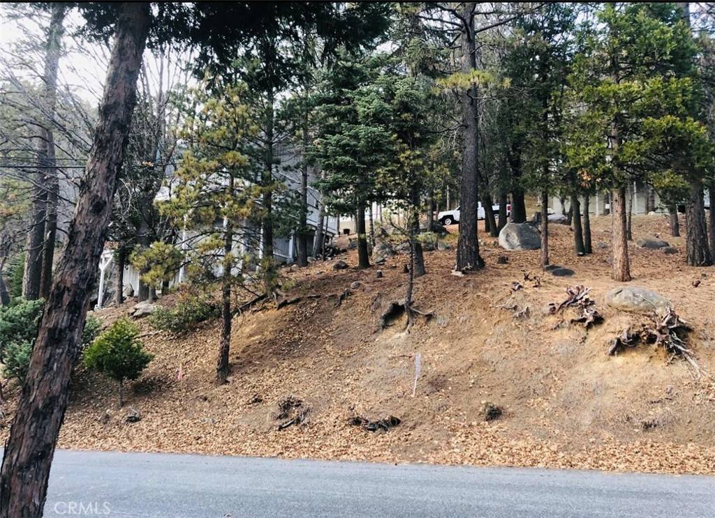 Lake Arrowhead, CA 92352,27315 Pinewood DR
