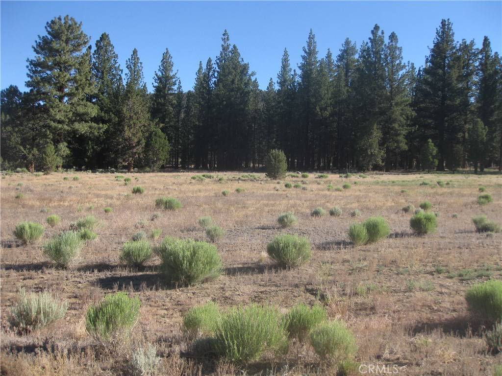 Big Bear City, CA 92314,2818 Erwin Ranch RD