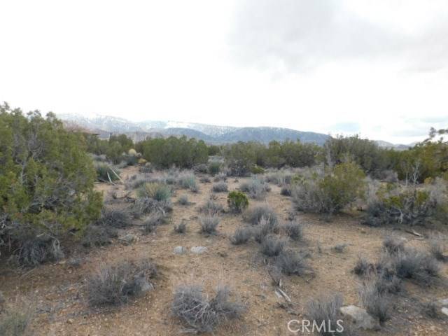 Pinon Hills, CA 92372,0 Pinon RD