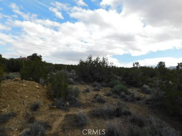 Pinon Hills, CA 92372,0 Pinon RD