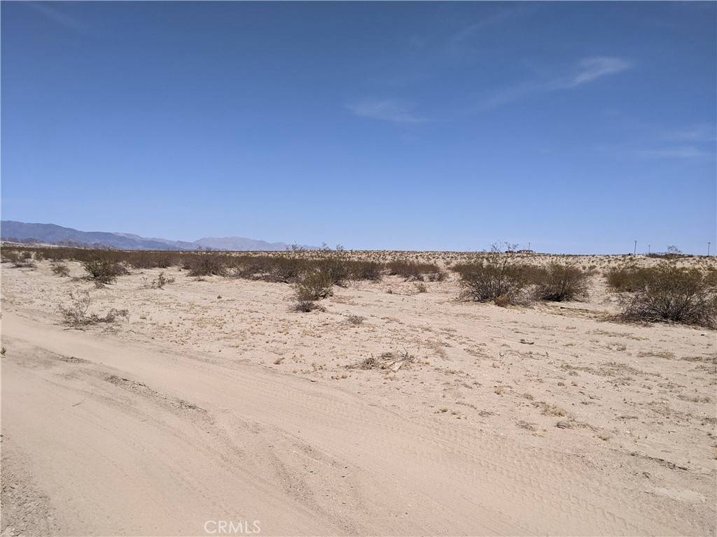 29 Palms, CA 92277,0 None