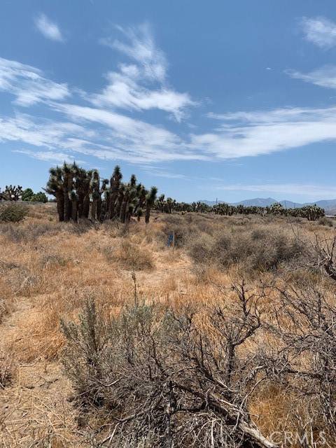 Phelan, CA 92371,0 Tumbleweed