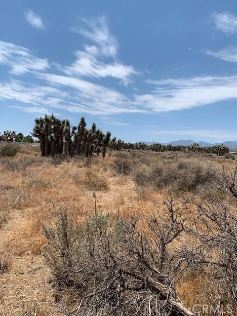 Phelan, CA 92371,0 Tumbleweed