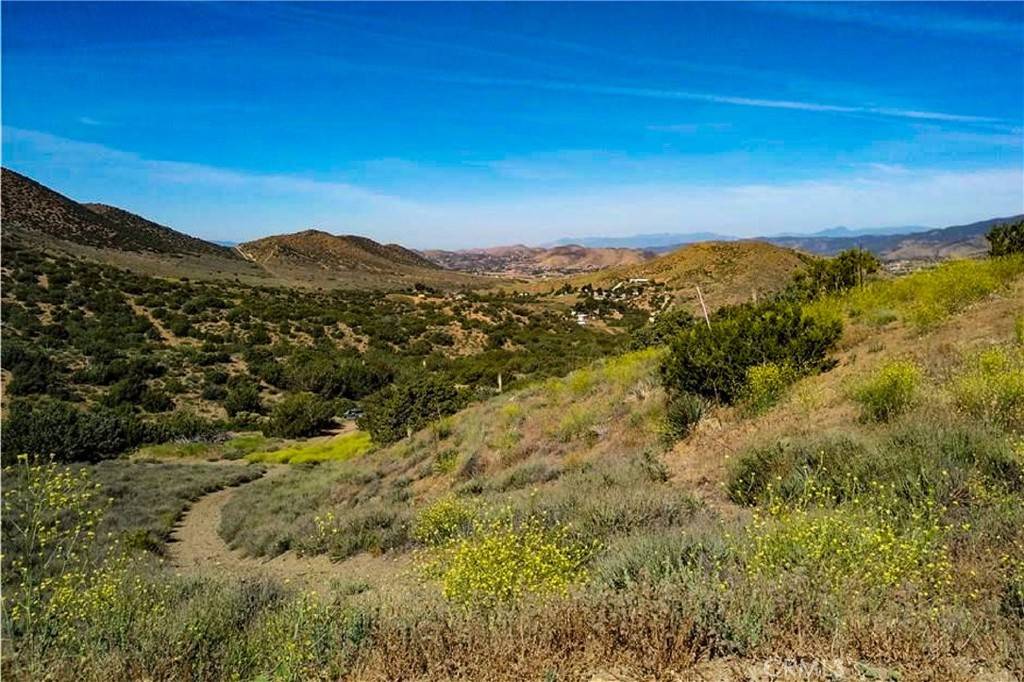 Agua Dulce, CA 91390,0 Penman RD