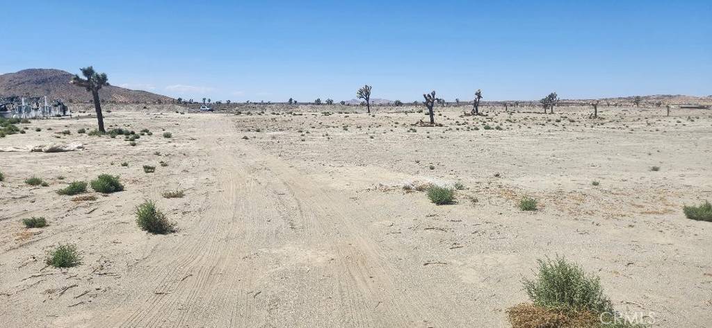 Adelanto, CA 92301,0 Chamisal