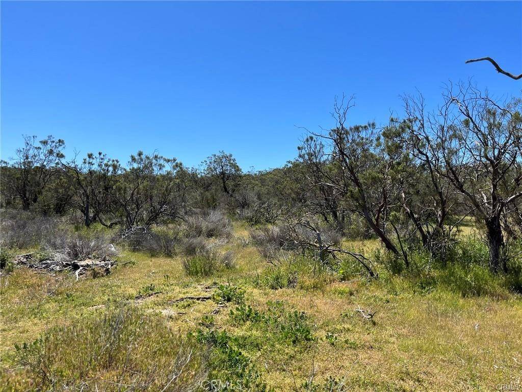 Aguanga, CA 92536,3 Barbara TRL
