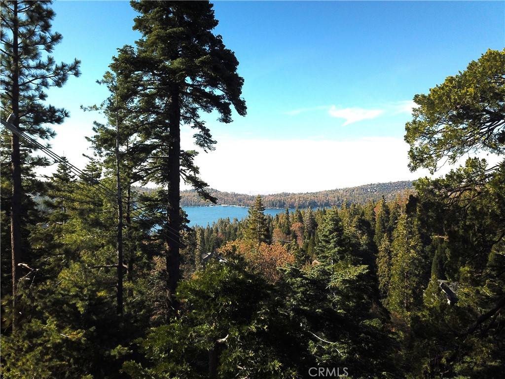 Lake Arrowhead, CA 92352,514 Sunderland CT