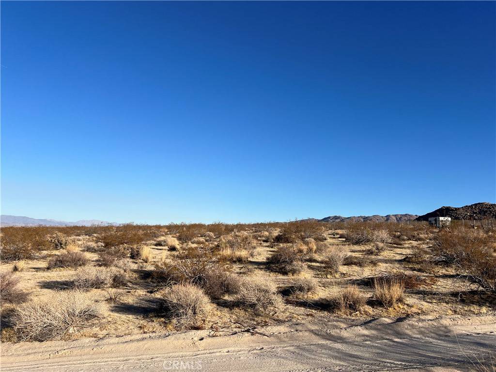 Joshua Tree, CA 92252,168 Watson Way