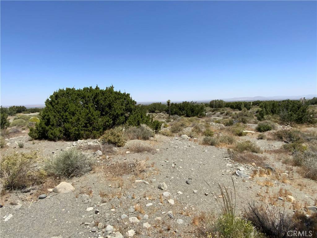 Pinon Hills, CA 92372,2975 Yucca Terrace DR