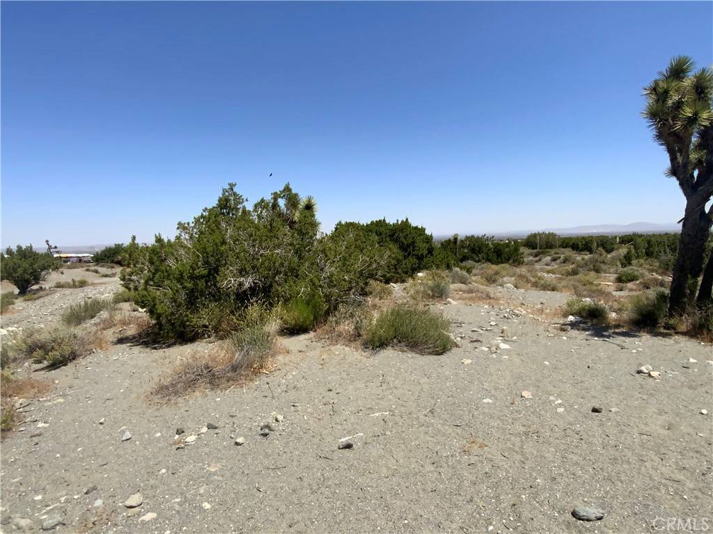 Pinon Hills, CA 92372,2975 Yucca Terrace DR