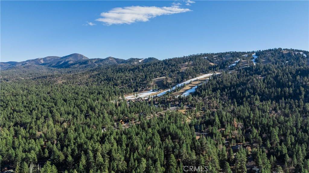 Big Bear Lake, CA 92315,372 Conklin RD