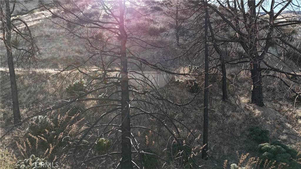Juniper Hills, CA 93543,0 Juniper Hills RD