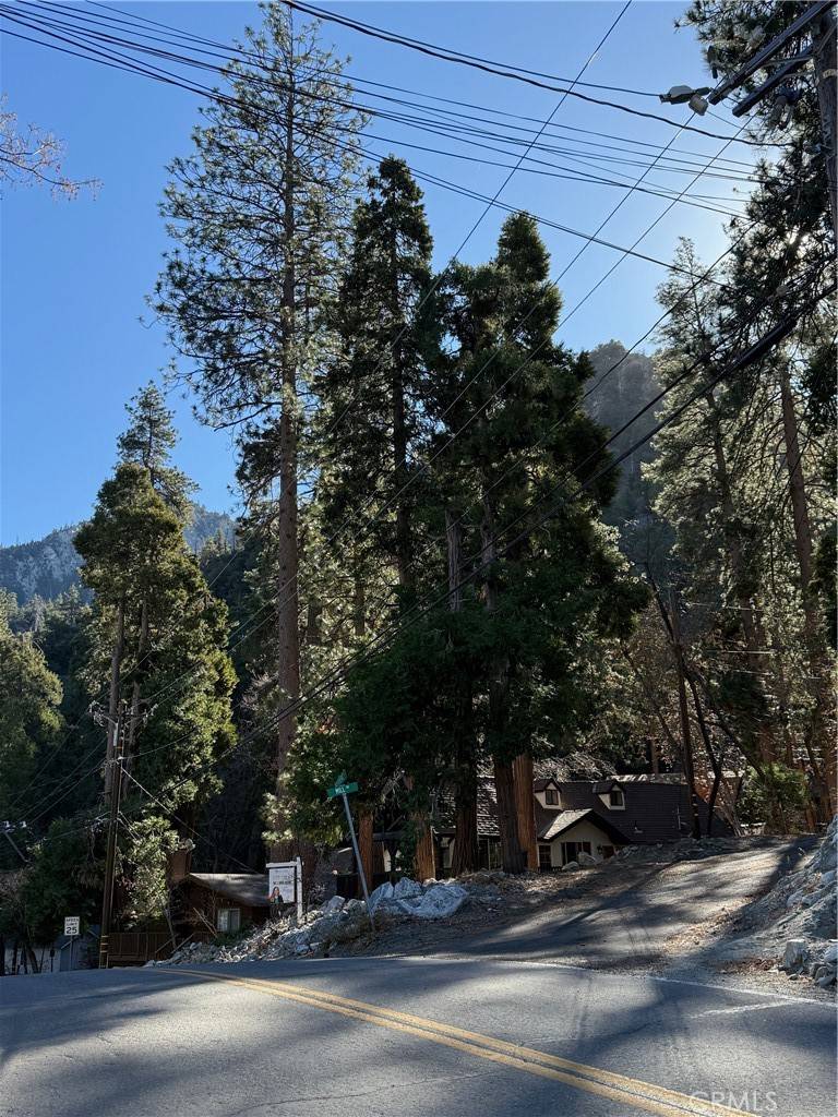 Forest Falls, CA 92339,9387 Mill DR