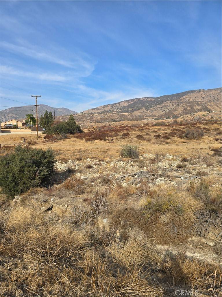 Yucaipa, CA 92399,0 Juniper