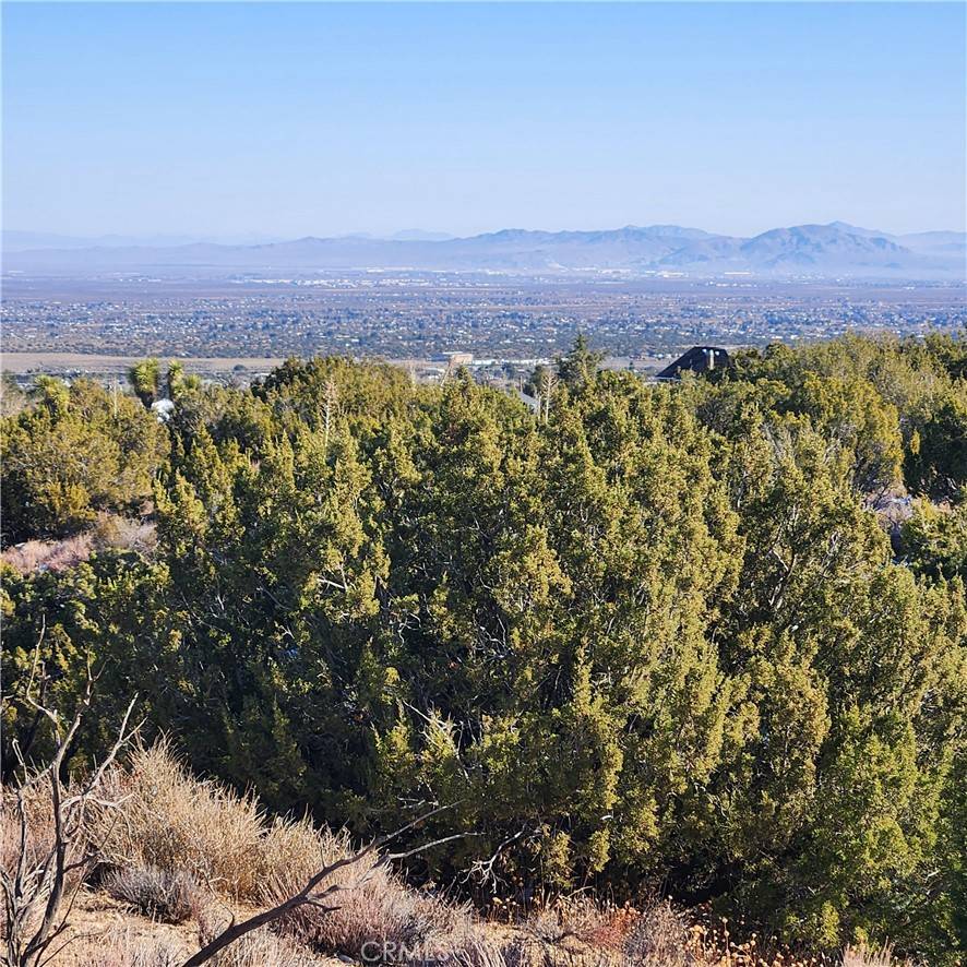 Pinon Hills, CA 92372,0 Hollister