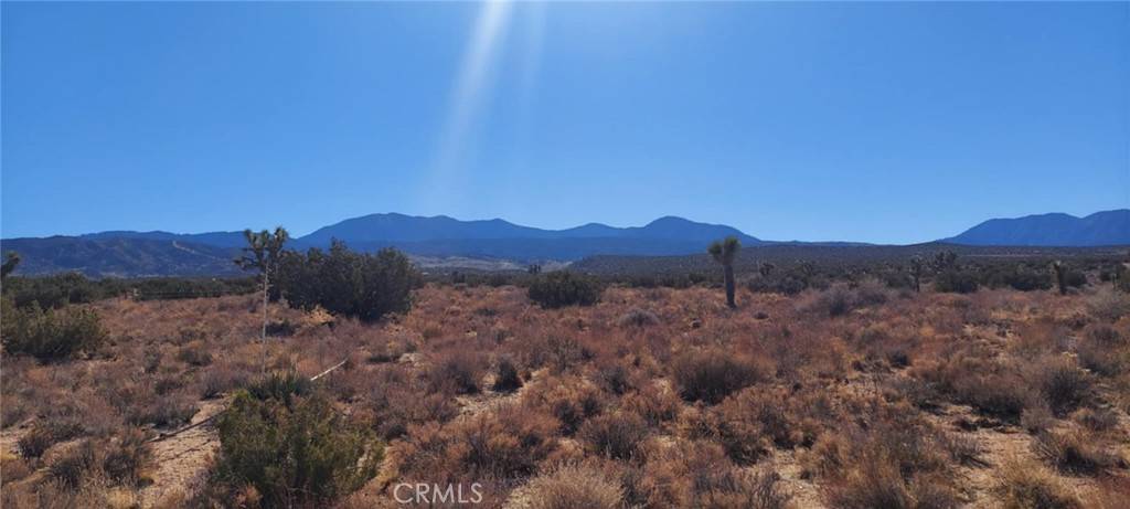 Llano, CA 93544,0 Avenue Y