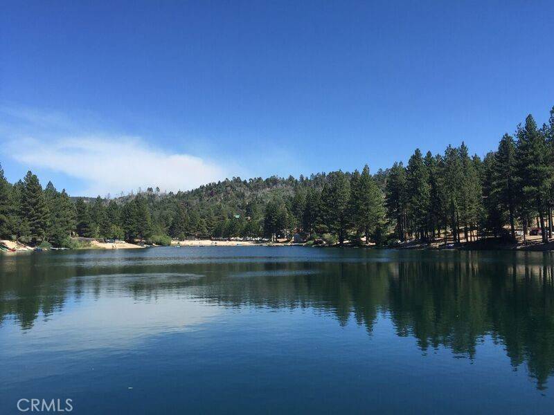 Green Valley Lake, CA 92341,33500 Lupin DR