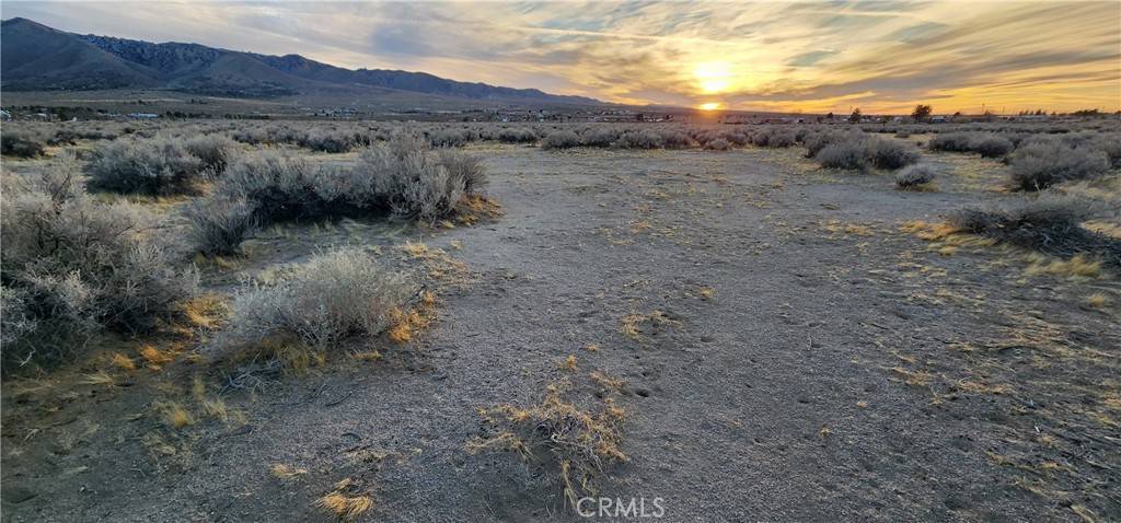 0 Alamo AVE Lucerne Valley, CA 92356