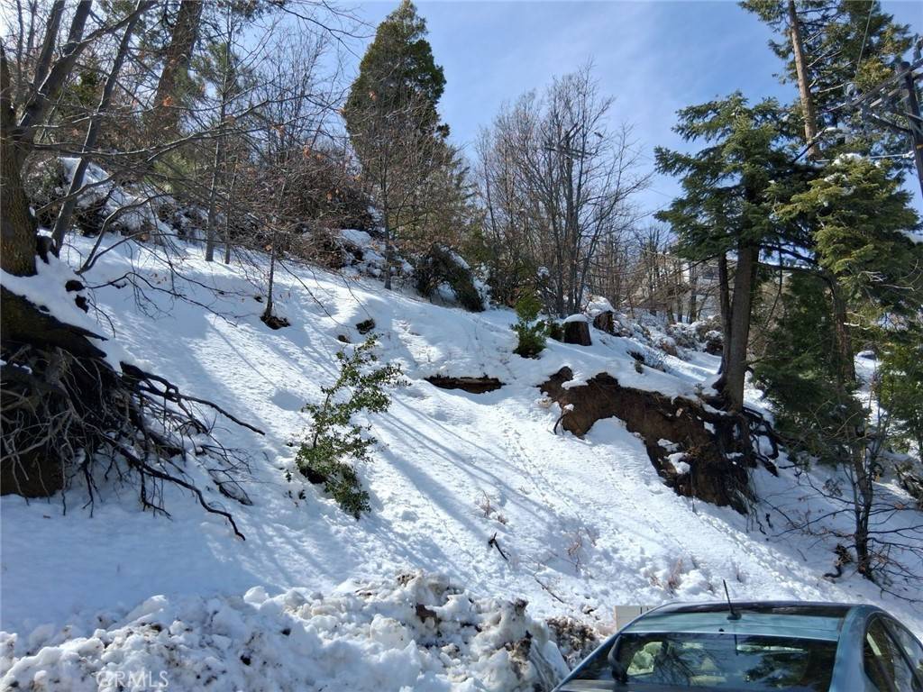 Cedar Glen, CA 92321,29602 Hook Creek RD