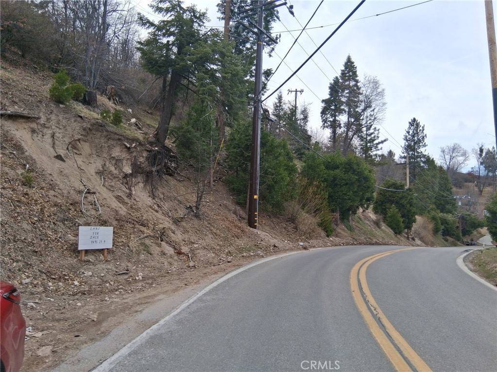 Cedar Glen, CA 92321,29602 Hook Creek RD
