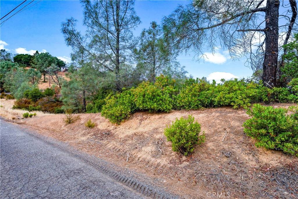 Clearlake Oaks, CA 95423,12220 Cerrito DR