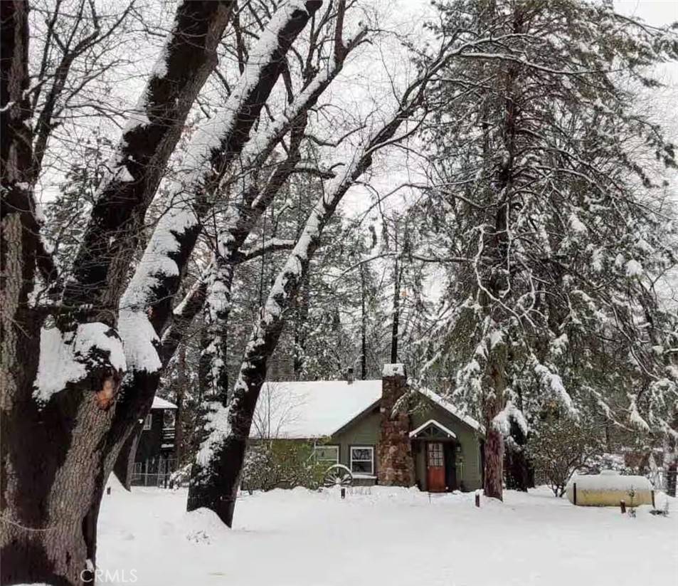Idyllwild, CA 92549,53985 Pine Crest AVE