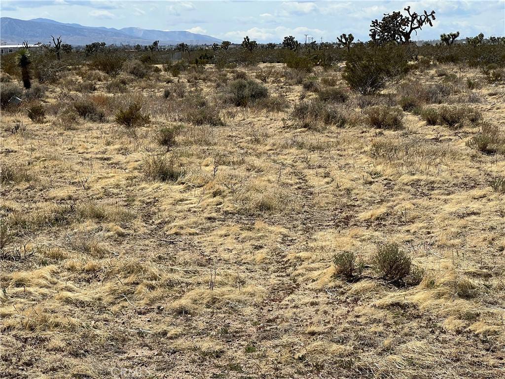 Phelan, CA 92371,0 Rochester RD