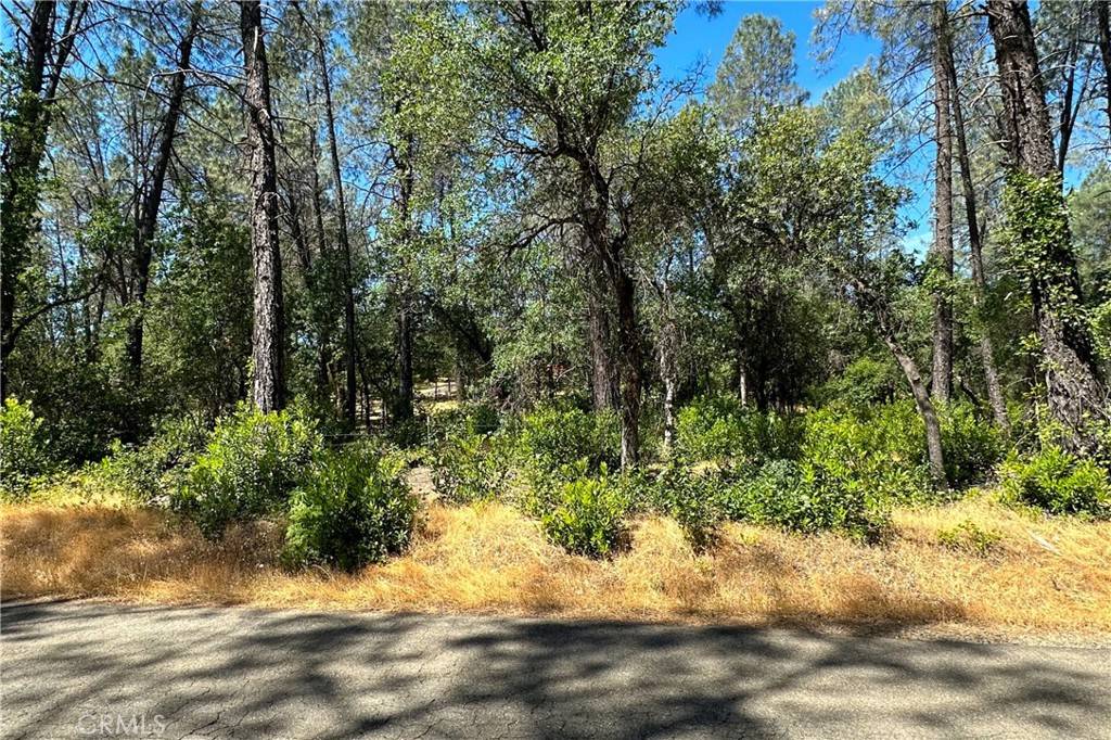 Redding, CA 96001,9200 Silver King RD
