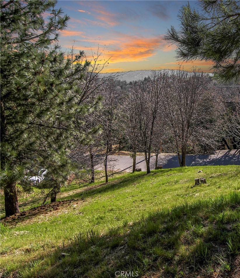 Lake Arrowhead, CA 92352,0 St Bernard LN
