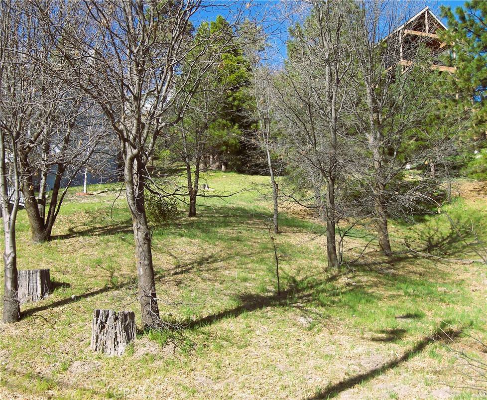 Lake Arrowhead, CA 92352,0 St Bernard LN