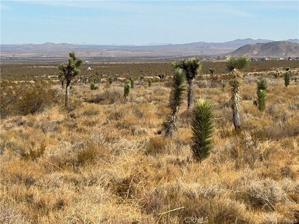Llano, CA 93544,8 Fort Tejon RD