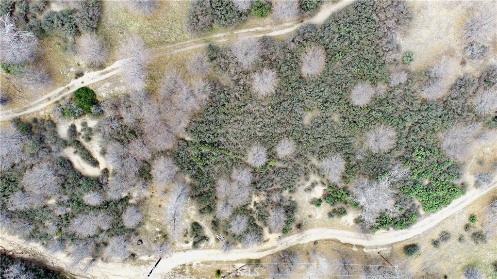 Cedar Glen, CA 92321,0 walnut