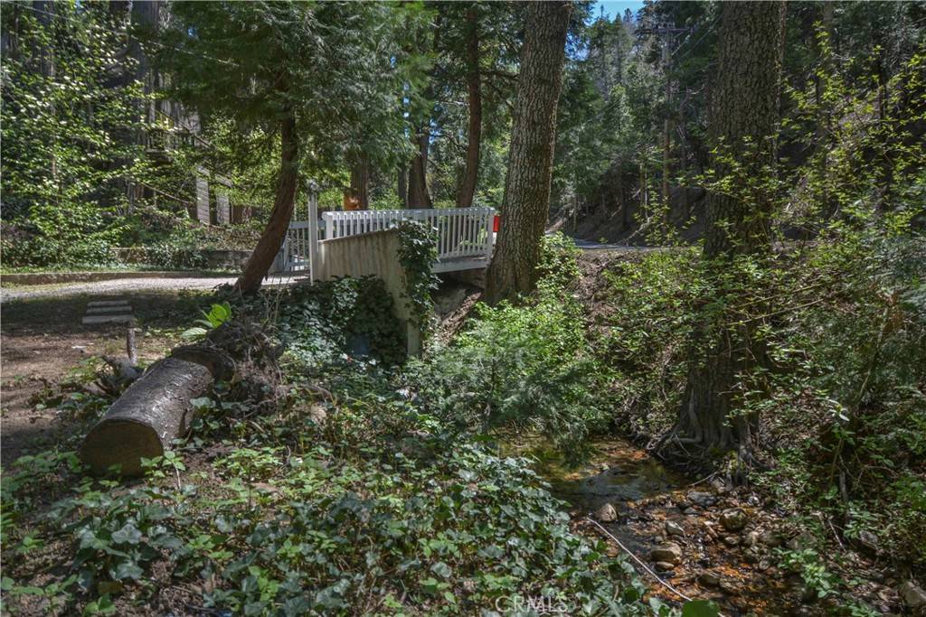 Lake Arrowhead, CA 92352,230 Fremont RD