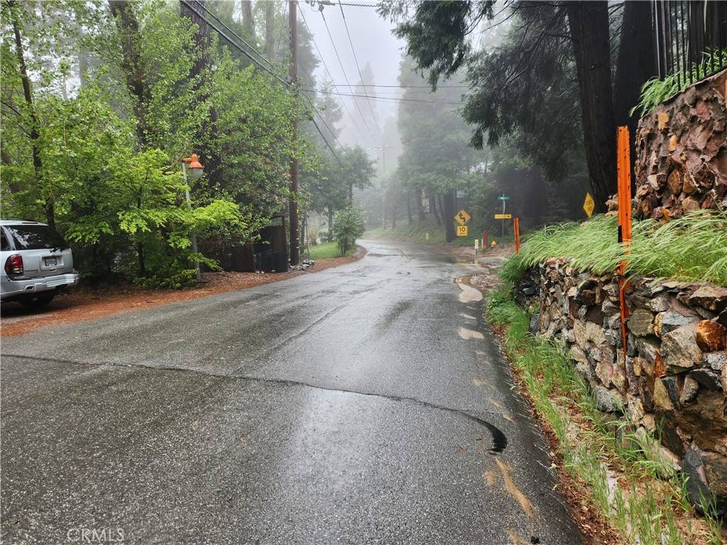 Crestline, CA 92325,487 Wylerhorn DR