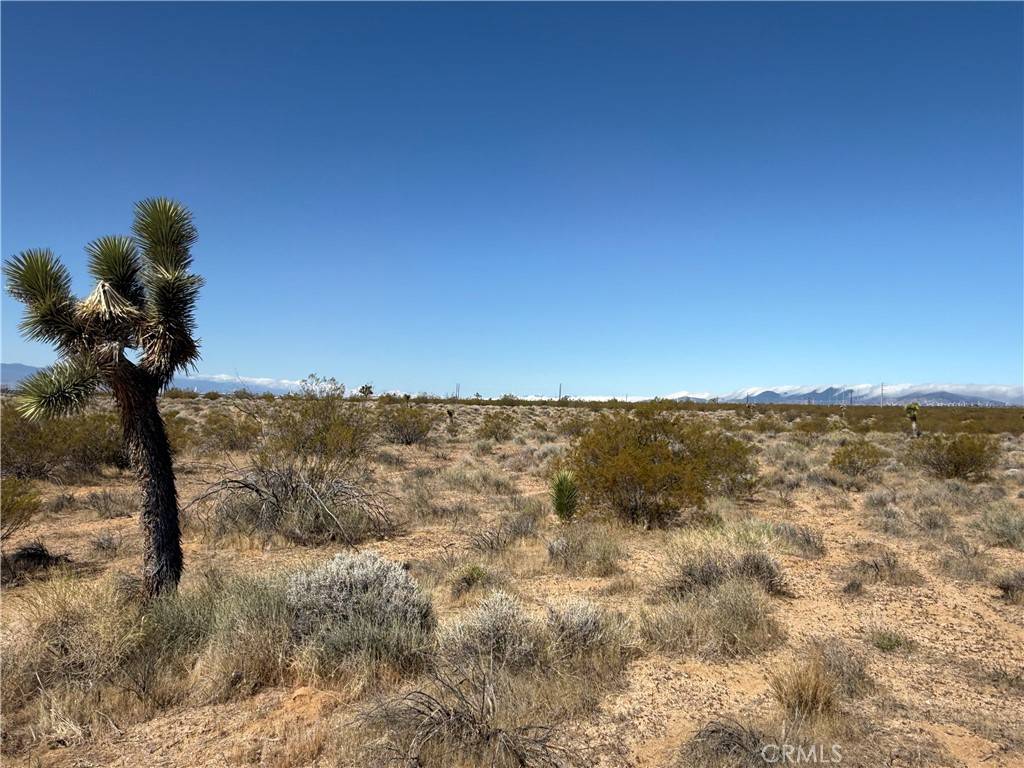 Rosamond, CA 93560,125 125th