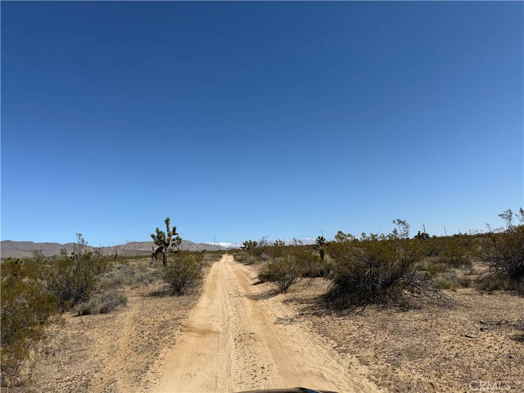 Rosamond, CA 93560,125 125th