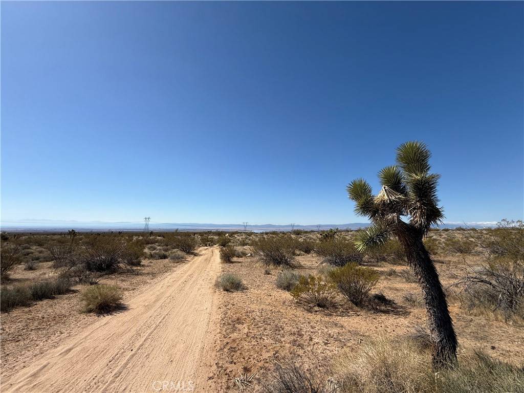 Rosamond, CA 93560,125 125th