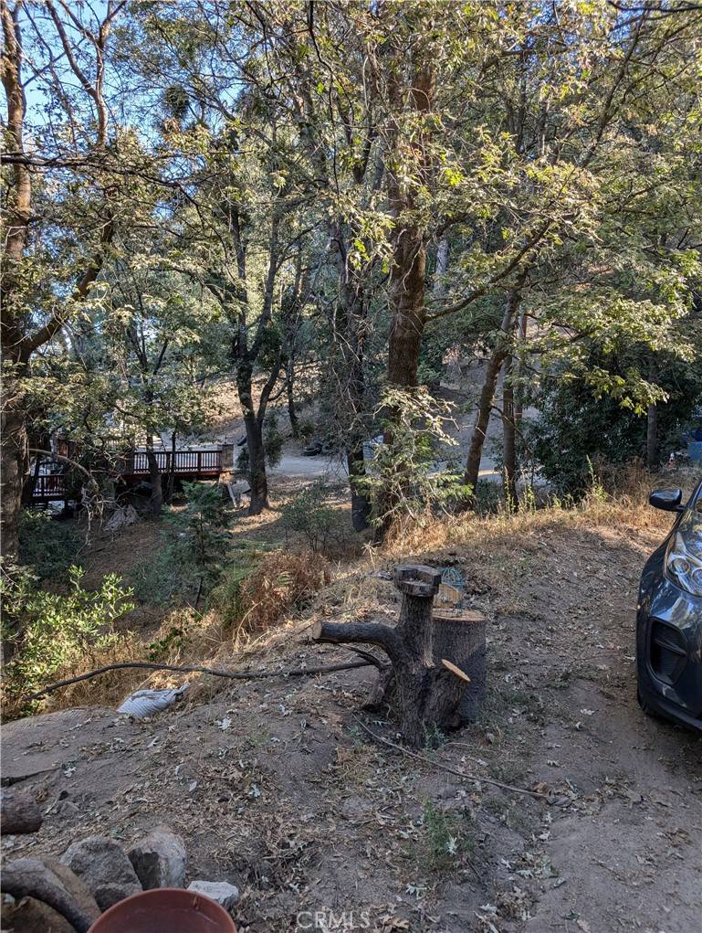 Crestline, CA 92325,0 Scenic View