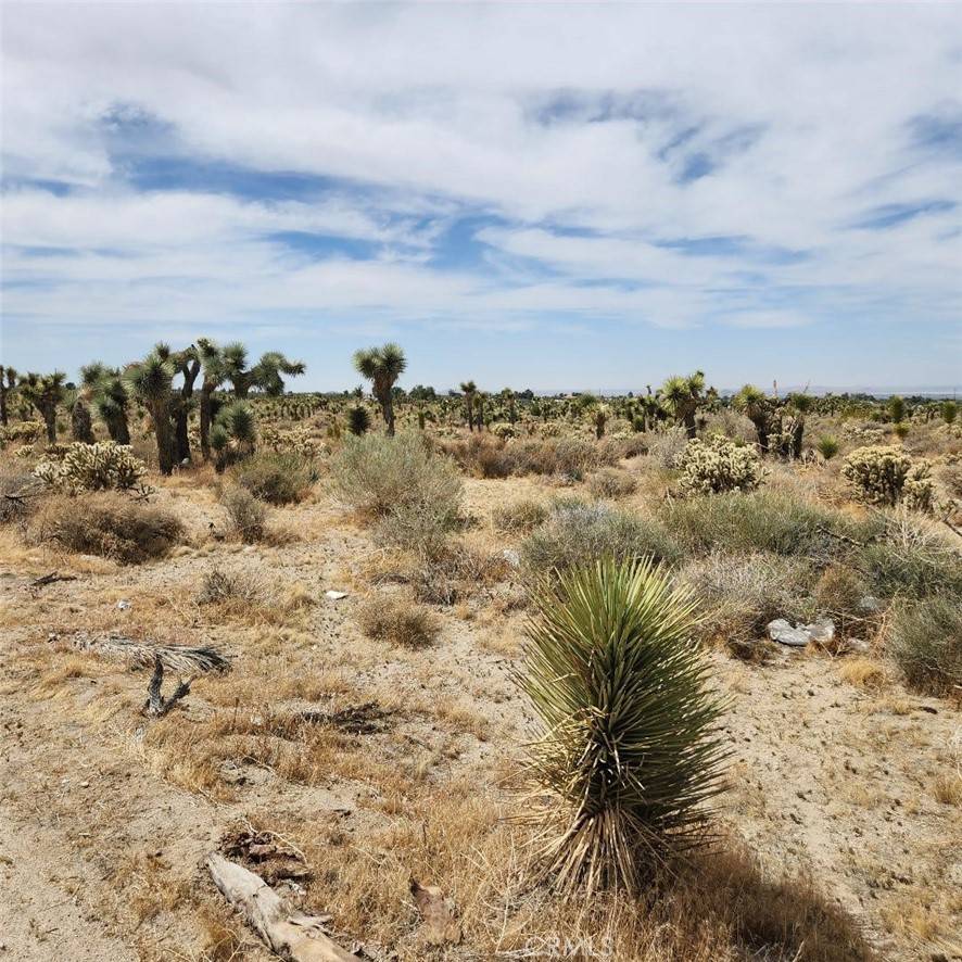 0 Sheep Creek Phelan, CA 92371