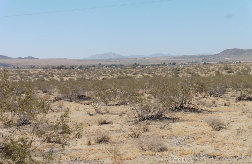 Joshua Tree, CA 92252,0 29 Palms HWY