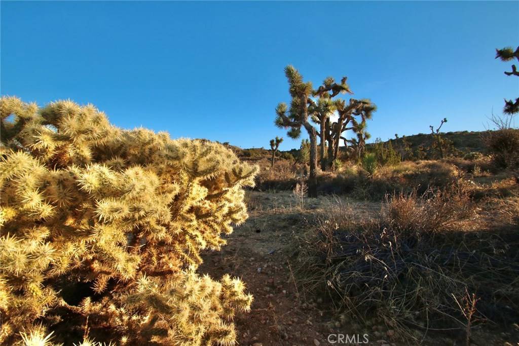 Yucca Valley, CA 92284,0 Mt View