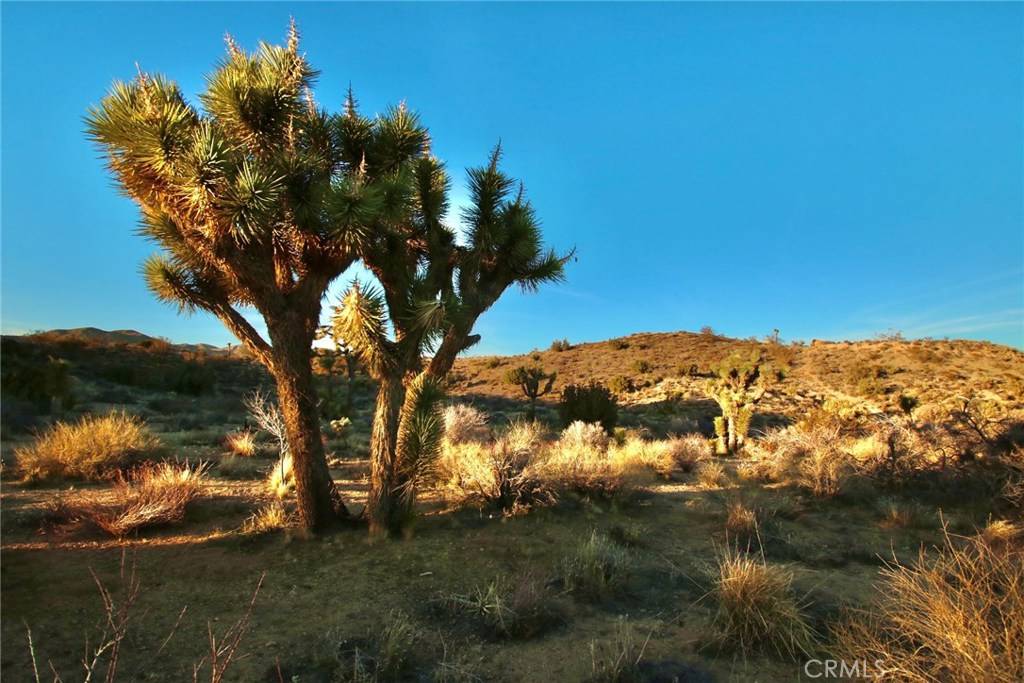 Yucca Valley, CA 92284,0 Onaga/Navajo