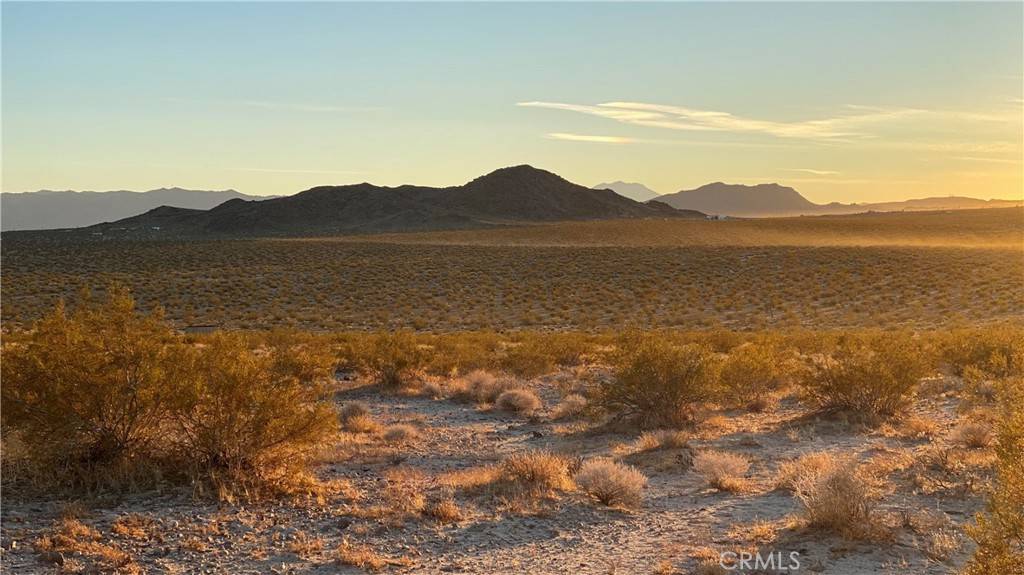 Joshua Tree, CA 92252,1000 Sunever RD