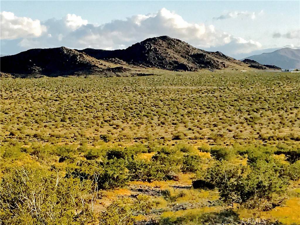 Joshua Tree, CA 92252,1000 Sunever RD