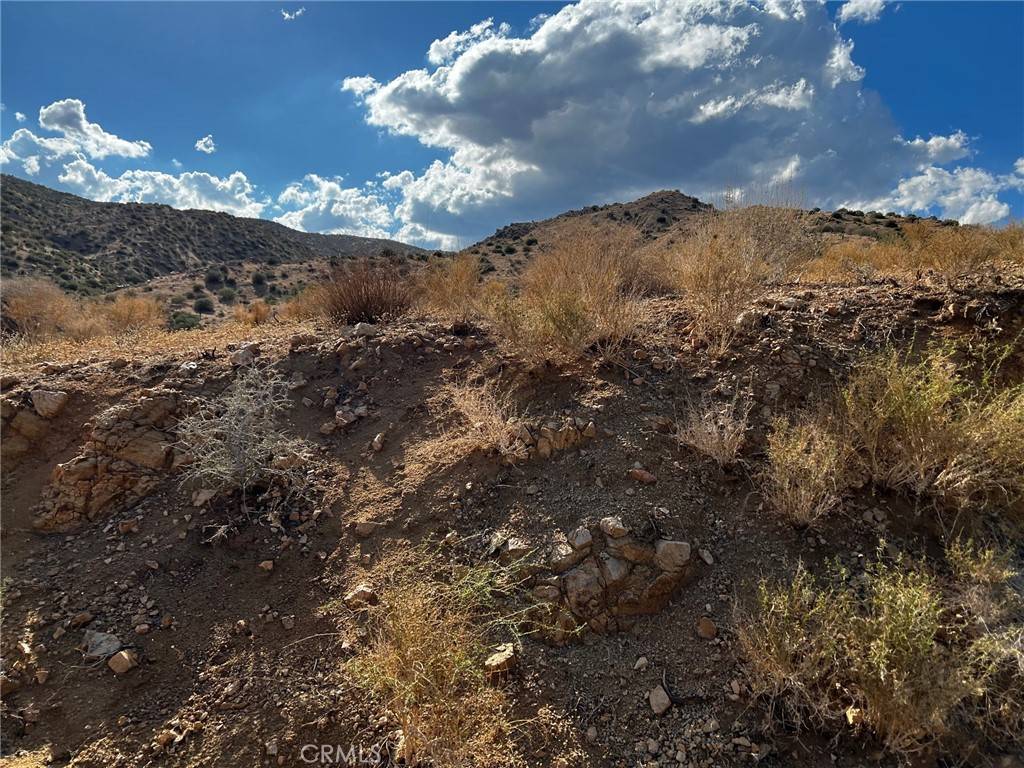 Pioneertown, CA 92268,0 Orange Trail