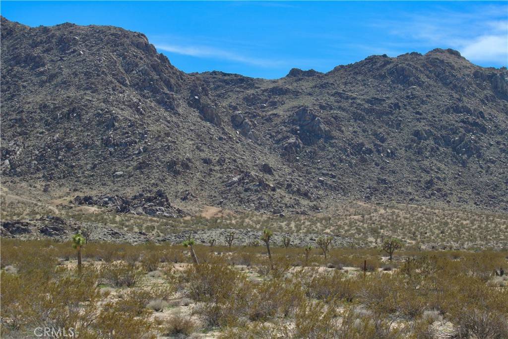 Joshua Tree, CA 92252,0 Drexel RD
