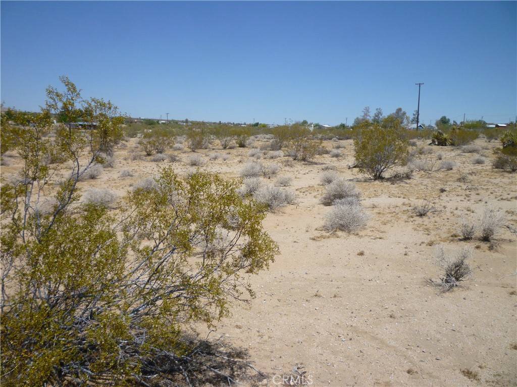 Joshua Tree, CA 92252,1234 Cielito DR