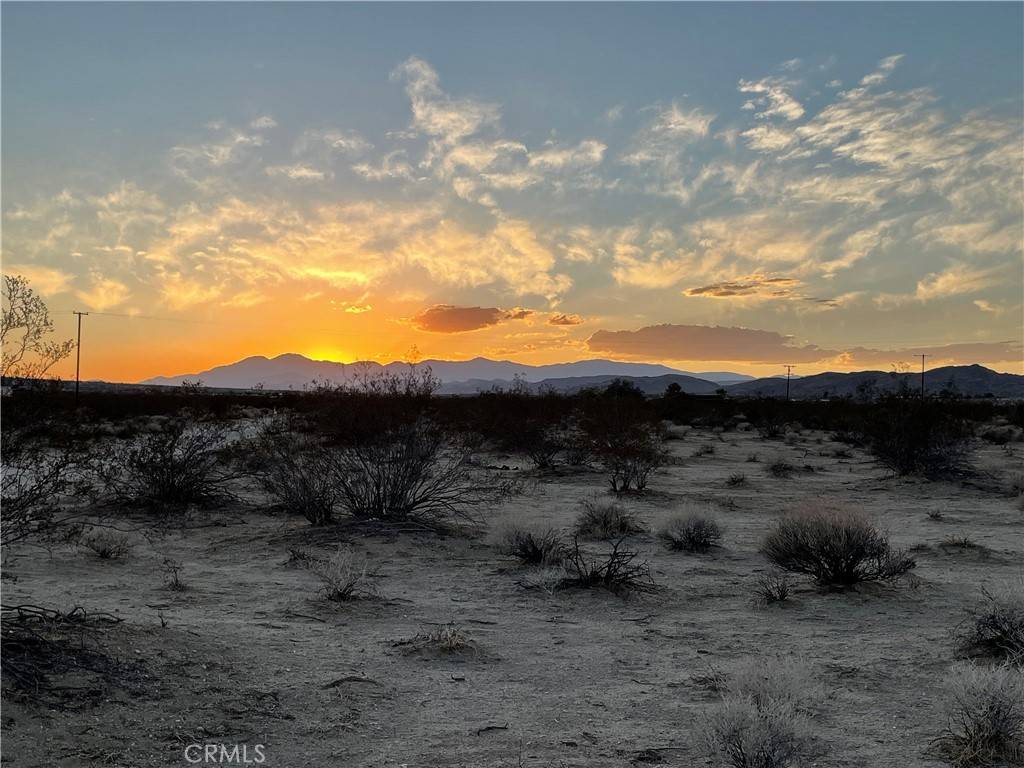 Joshua Tree, CA 92252,63776 Chollita RD