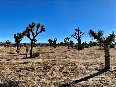 57031 Buena Vista DR Yucca Valley, CA 92284