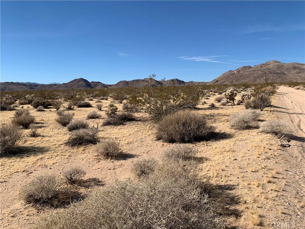 Joshua Tree, CA 92252,62259 Dixie LN